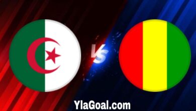 موعد مباراة الجزائر وغينيا اليوم الخميس 6 يونيو 2024 في تصفيات كأس العالم والقنوات الناقلة